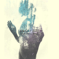 This Life_Absofacto