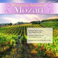 Divertimento No.17 in D Major, K.334: III. Menuetto & Trio_Wolfgang Amadeus Mozart,Various Artists,A Robert Johnson