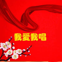 旗帜更鲜艳_谭晶