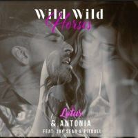 Wild Wild Horses_Pitbull,Lotus,Jay Sean,Antonia