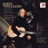 II. Adagio (第二乐章 慢板)_John Williams,Australian Chamber Orchestra,Richard Tognetti,Franz Schubert