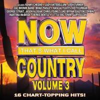 Why Dont We Just Dance_Josh Turner