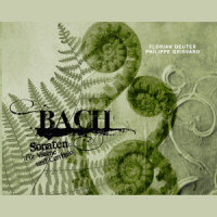 Sonata for Violin and Harpsichord in A Major, BWV 1015: II. Allegro assai_Florian Deuter,Philippe Grisvard,Johann Sebastian Bach