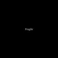 Fragile_Sting
