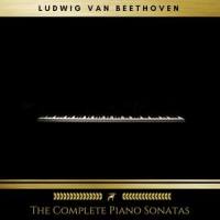 Piano Sonata no. 10 in G, Op. 14 no. 2: Scherzo. Allegro assai_Golden Deer Classics,Ludwig van Beethoven