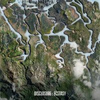 Expressing What Matters_Disclosure