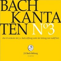 V. Arie. "Christi Glieder, ach, bedenket" (Altus)_chor,Rudolf Lutz,Markus Forster