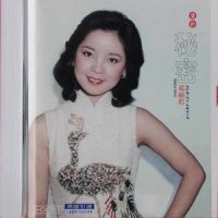 雨中徘徊_邓丽君