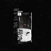 3 a.m._Survive Said the Prophet