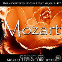 II. Andante (第二乐章 行板)_Joschi Fallout,Alberto Lizzio,Mozart Festival Orchestra