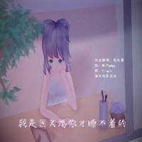我是因为想你才睡不着的_洛天依