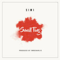 Small Ting_Simi