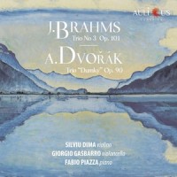 Piano Trio No. 4 in E-Flat Major, Op. 90 "Dumky": V. Allegro - Meno mosso_Silviu Dima,Giorgio Gasbarro,Fabio Piazza
