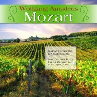 Concerto for Flute, Harp & Orchestra in C Major, K. 299: II. Andantino_Medicine,Wolfgang Amadeus Mozart,Württemberg Chamber Orchestra Heilbronn,Catherine Michel