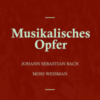 VIII. Canon a 2 in unisono_l'Orchestra Filarmonica di Moss Weisman