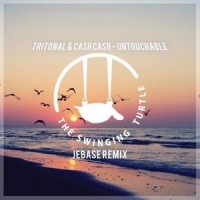 Untouchable_Tritonal,Cash Cash