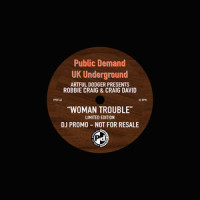 Woman Trouble_Artful Dodger,Robbie Craig,Craig David