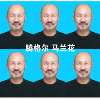 马兰花_腾格尔