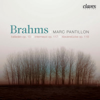 Drei Intermezzo, Op. 117: II. Andante non troppo e con molto espressione_Marc Pantillon