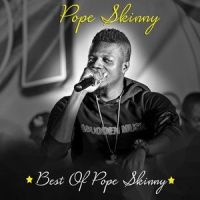 Hot Cake_Pope Skinny,Shatta Wale