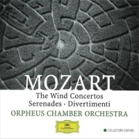 III. Rondo - Allegro vivace (第三乐章 回旋曲 - 活泼的快板) (Allegro vivace)_David Jolley,Orpheus Chamber Orchestra