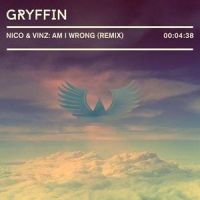 Am I Wrong_Gryffin,Nico & Vinz