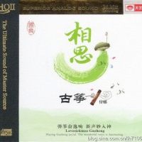 弯弯的月亮_付娜