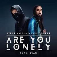 Are You Lonely_Steve Aoki,Alan Walker,ISÁK