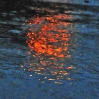 rain on me_Joji