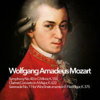 Symphony No. 35 in D Major, K. 385, Haffner: I. Allegro con spirito_Wolfgang Amadeus Mozart,Herbert von Karajan,Orchestra Sinfonica E Coro Di Torino Della Rai