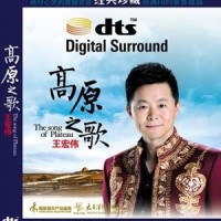 我是你的,你是我的_王宏伟