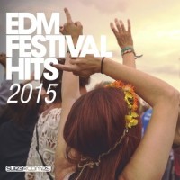Louder_Disco Fries