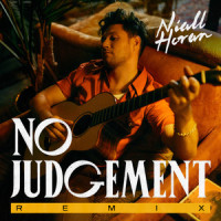 No Judgement_Niall Horan,Steve Void