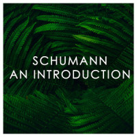 Schumann: Symphony No. 1 in B-Flat Major, Op. 38 "Spring" - 3. Scherzo. Molto vivace_Wiener Philharmoniker,Georg Solti