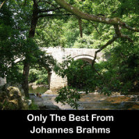 Johannes Brahms - 16 Waltzes, Op.39 - No.11 in B-_Johannes Brahms