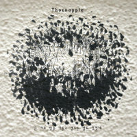 플랑크톤_THORNAPPLE