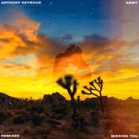 Missing You(feat. Abby)_Anthony Keyrouz,wbrblol,Abby