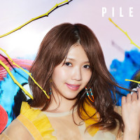 P.S.ありがとう…_Pile