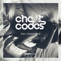 Say Goodbye_Cheat Codes