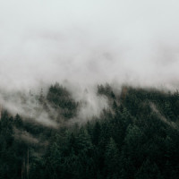 Time with You_Japanese Relaxation and Meditation,Exam Study Classical Music Orchestra,Deep Sleep