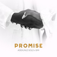 Promise_Simi,Adekunle Gold