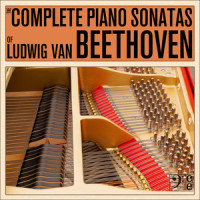 I. Allegretto Ma Non Troppo (第一乐章 不太过分的小快板)_Craig Sheppard