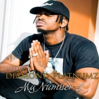 Number One_Diamond Platnumz,Davido