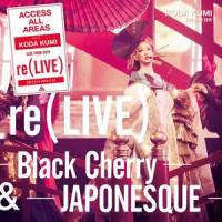 さよならの向う側 re -JAPONESQUE- in Osaka at オリックス劇場 (2019.10.13)_倖田來未