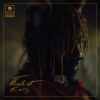 Black Qualls_Thundercat,Steve Lacy,Steve Arrington,Childish Gambino