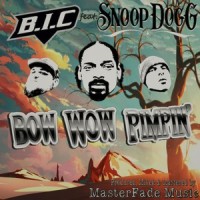 Bow Wow Pimpin(feat. Snoop Dogg)_BIC,Snoop Dogg