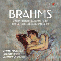 Clarinet Sonata in E-Flat Major, Op. 120/2: II. Allegro appassionato_Costantino Catena,Giovanni Punzi,Johannes Brahms