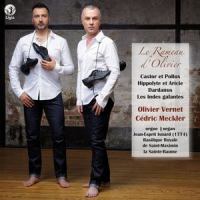 Danse du grand calumet de paix exécutée par les sauvages (Arr. pour orgue par Olivier Vernet et Cédric Meckler)_Olivier Vernet,Cédric Meckler