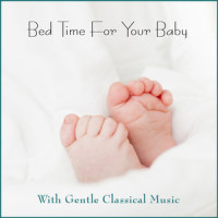 Serenade No. 13 for Strings in G Major, K. 525 "Eine kleine Nachtmusik": II. Andante (G大调第13号弦乐小夜曲,作品525 “小夜曲” - 第二乐章 行板)_The Stradivari Orchestra
