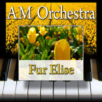 Für Elise_AM Orchestra